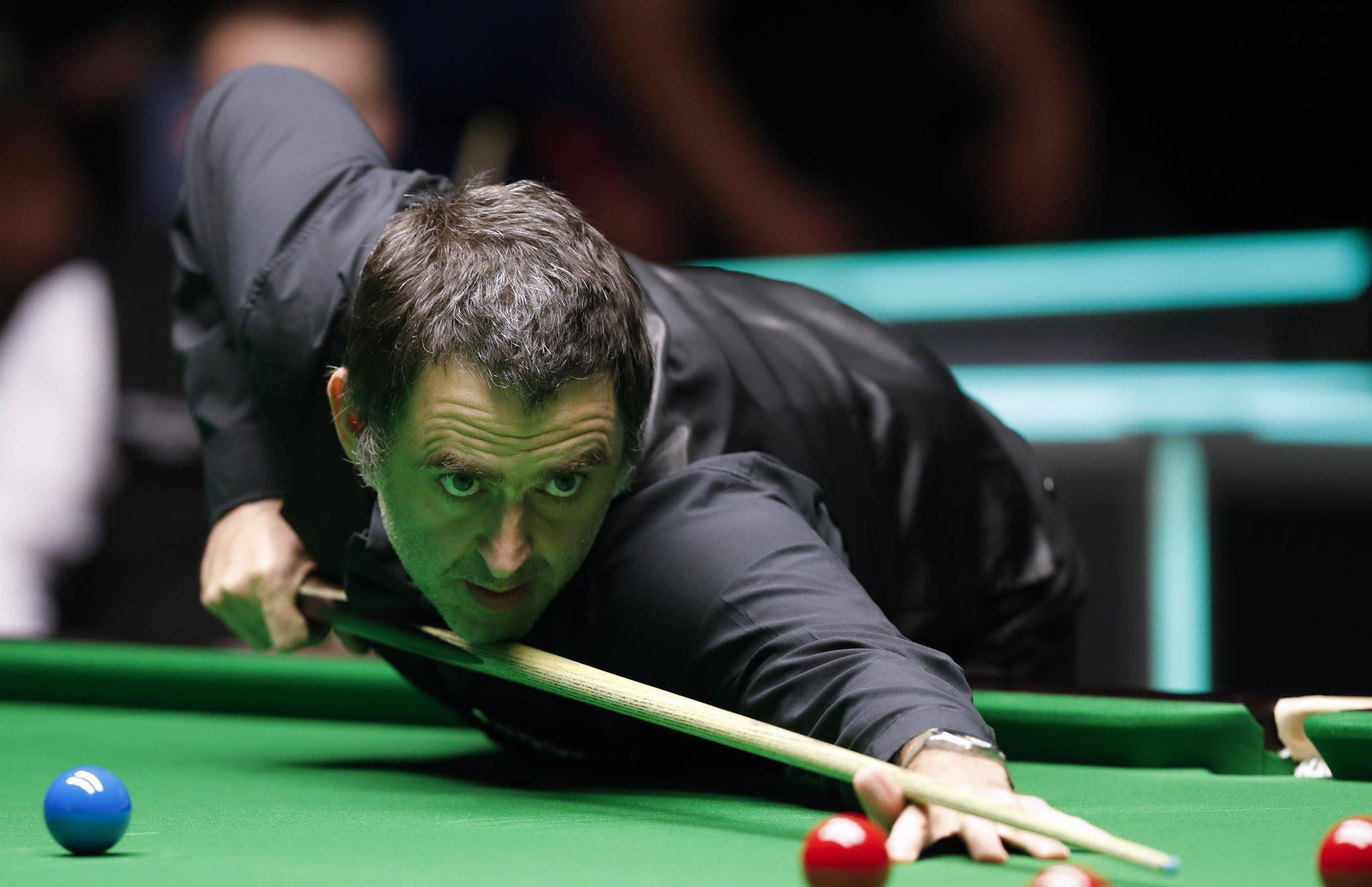 布和搜索引 布和搜索引