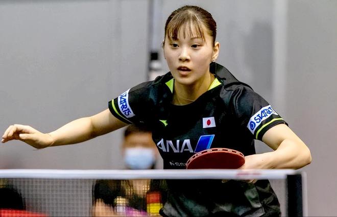 教练组的审 教练组的审